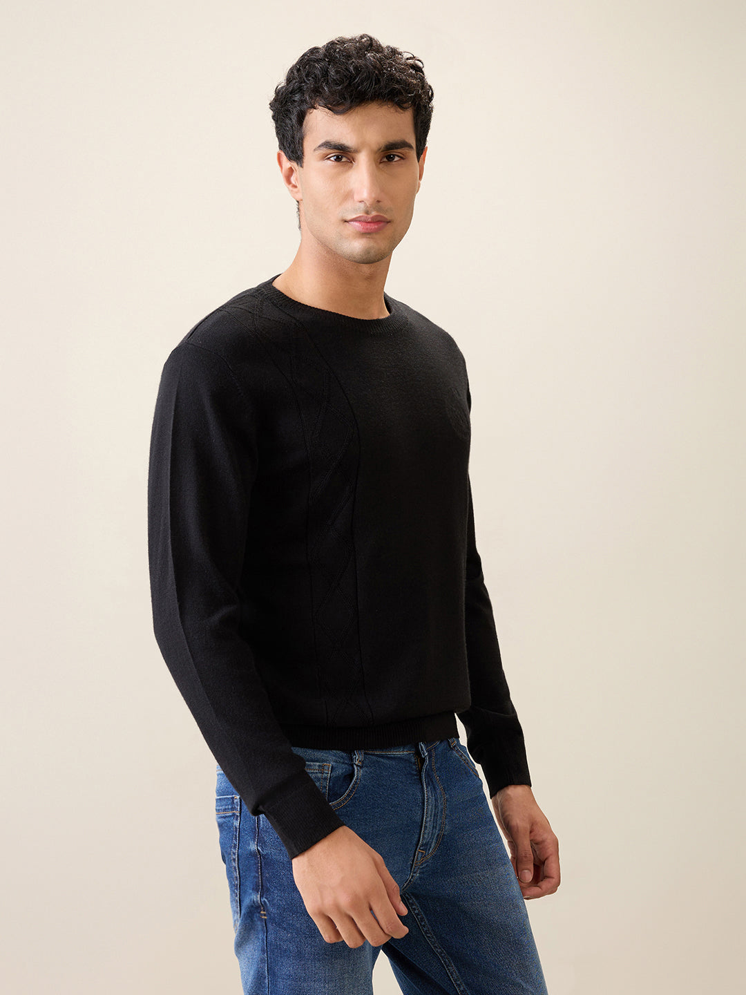 Raymond Men Black Structure Wool Blend Full Sleeve Round Neck Collar Sweater