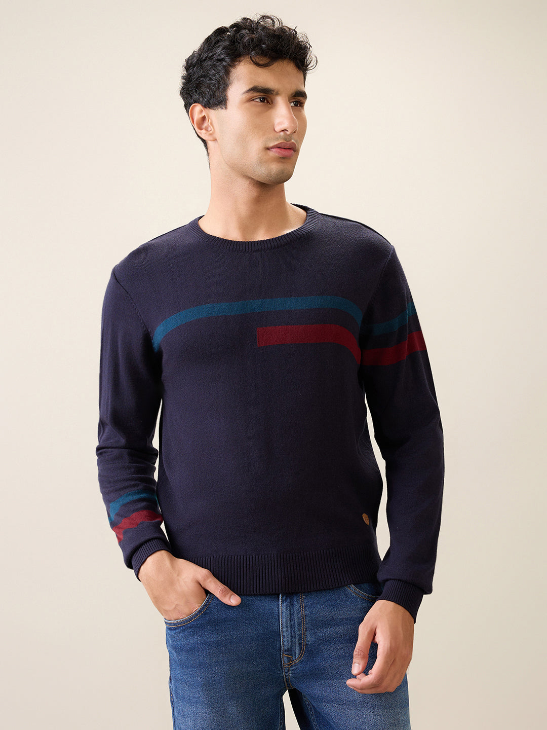 Raymond Men Black Stripe Acrlic Blend Full Sleeve Round Neck Collar Sweater