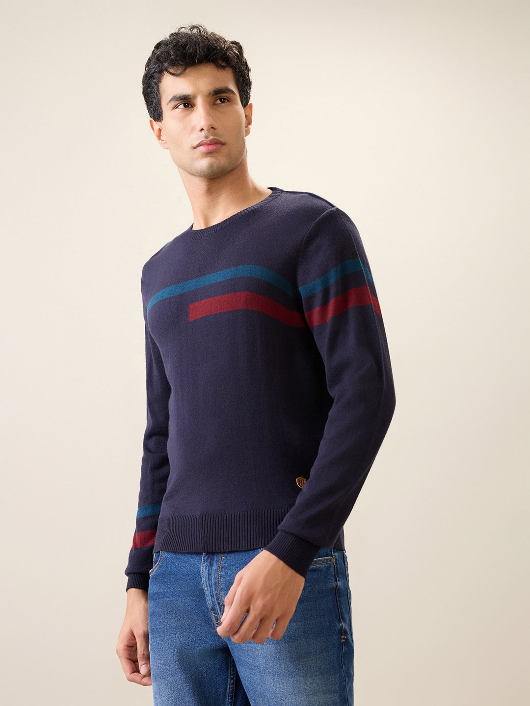 Raymond Men Black Stripe Acrlic Blend Full Sleeve Round Neck Collar Sweater