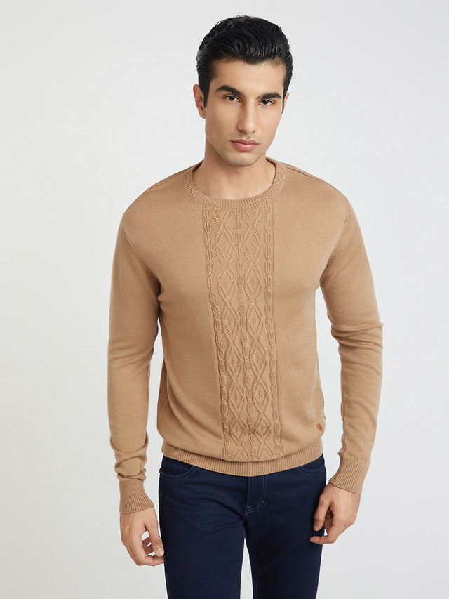 Men Fawn Structure Cable Acrylic Wool Blend Round Collar Sweaters