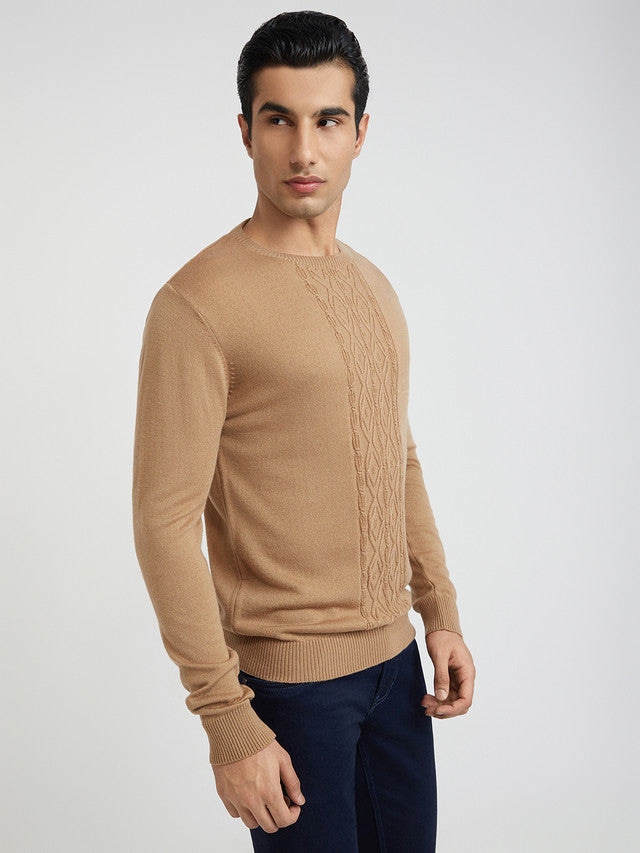 Men Fawn Structure Cable Acrylic Wool Blend Round Collar Sweaters