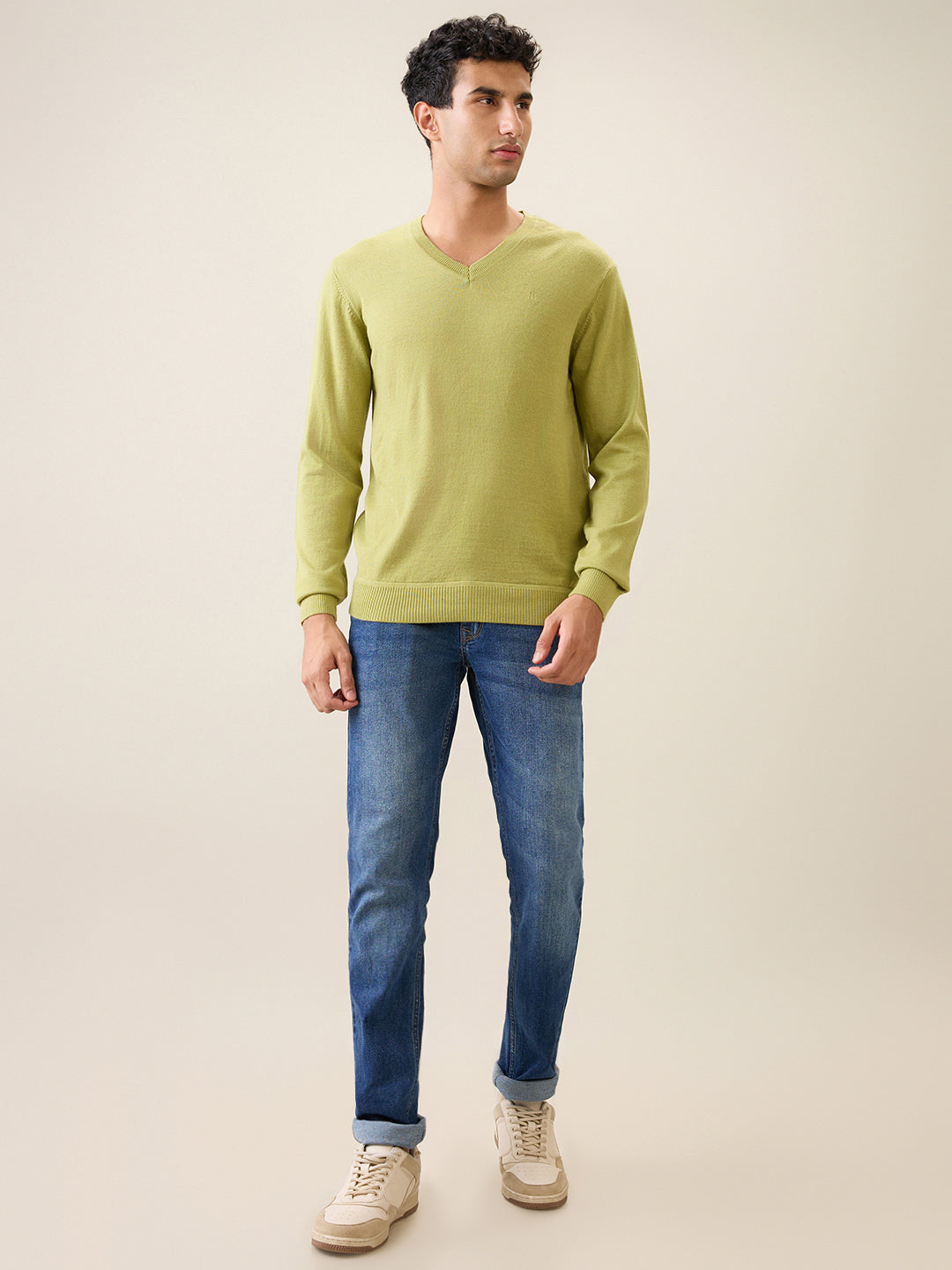 Raymond Men Green Solid Wool Blend Full Sleeve V Neck Collar Sweater