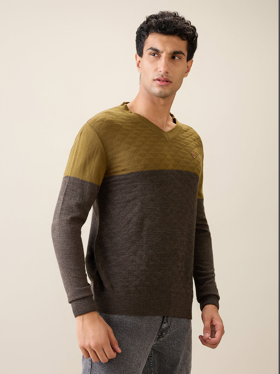 Raymond Men Green Structure Acrylic Full Sleeve V Neck Collar Sweater