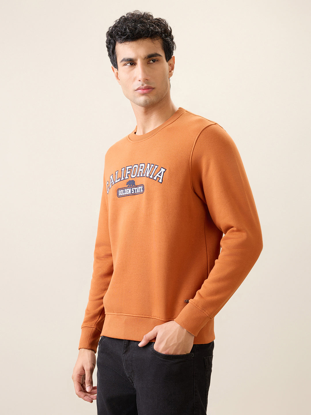 Parx Men Orange Graphic Regular Fit Cotton Blend Full Sleeve Round Neck Collar Sweatshirt