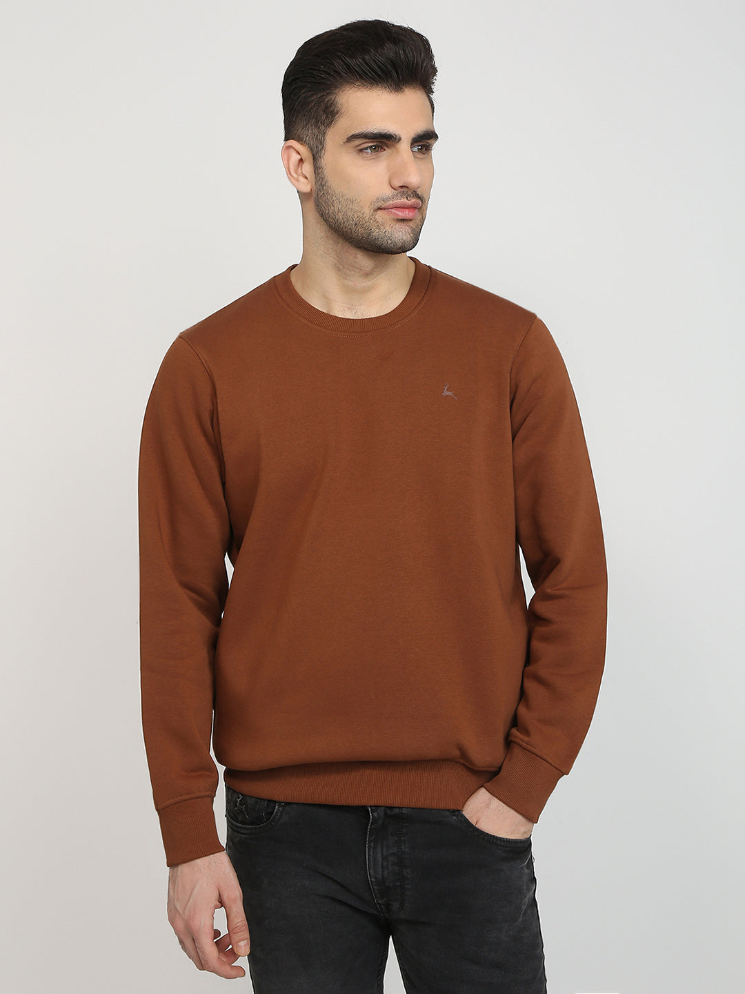 Parx Men Orange Solid Regular Fit Cotton Blend Full Sleeve Round Neck Collar Sweatshirt
