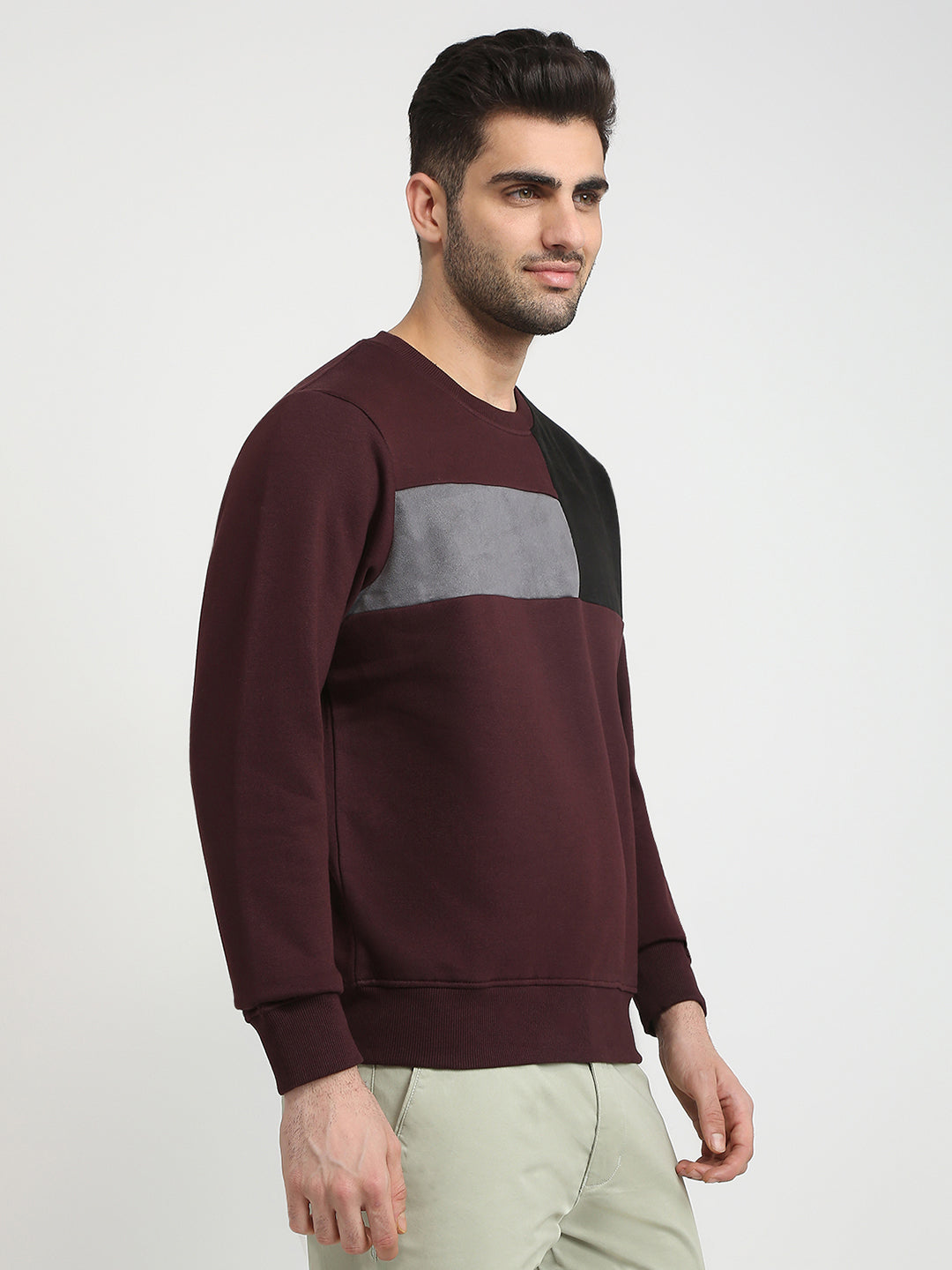 Parx Men Purple Cut & Sew Regular Fit Cotton Blend Full Sleeve Round Neck Collar Sweatshirt