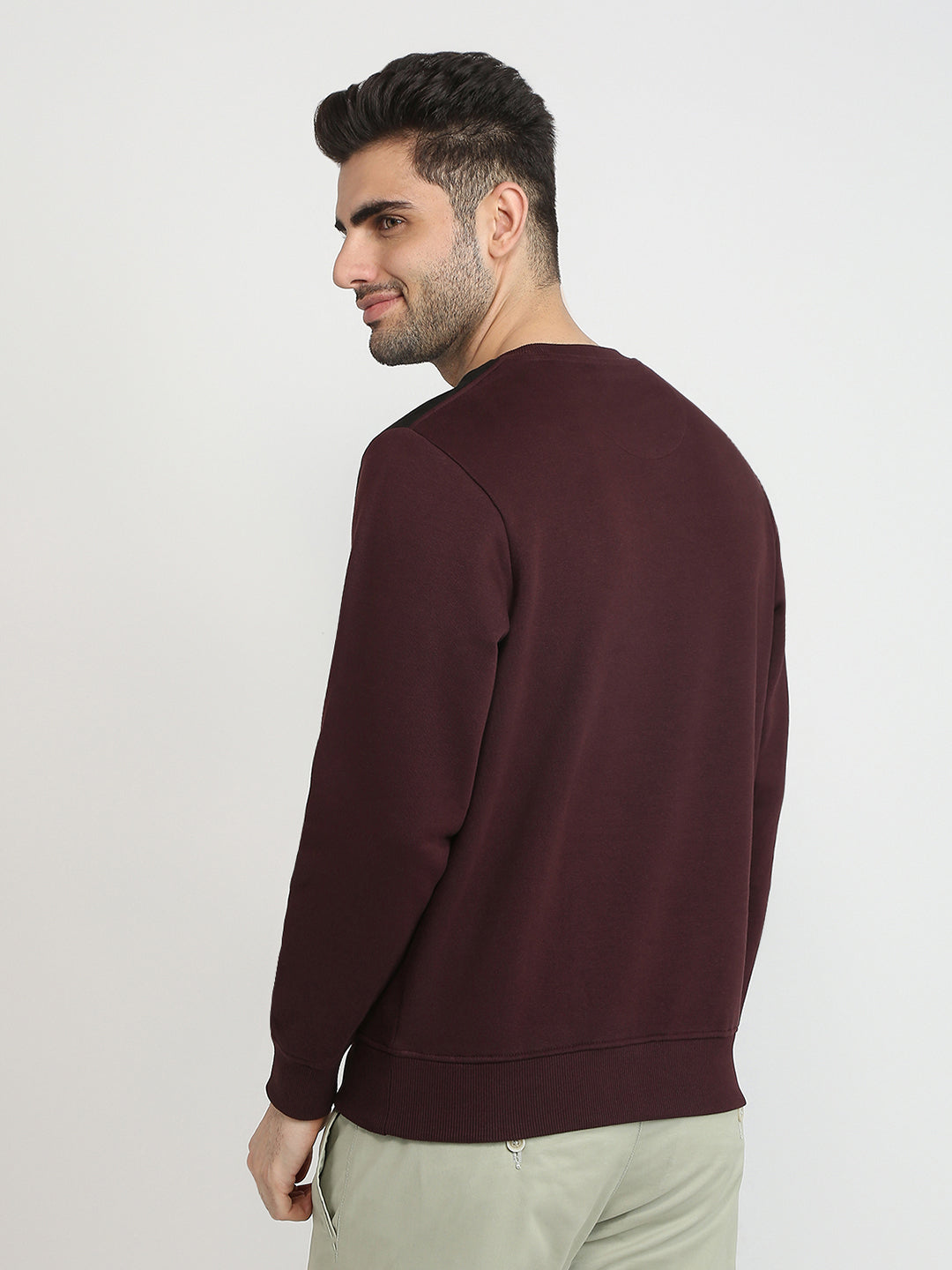 Parx Men Purple Cut & Sew Regular Fit Cotton Blend Full Sleeve Round Neck Collar Sweatshirt