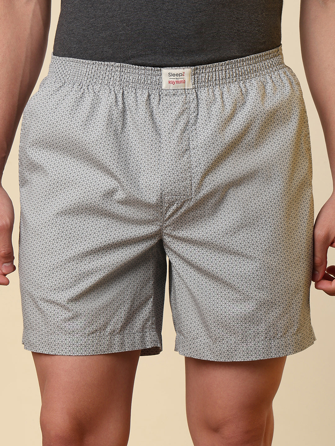 Sleepz Men Grey Printed Regular Fit Cotton Boxer