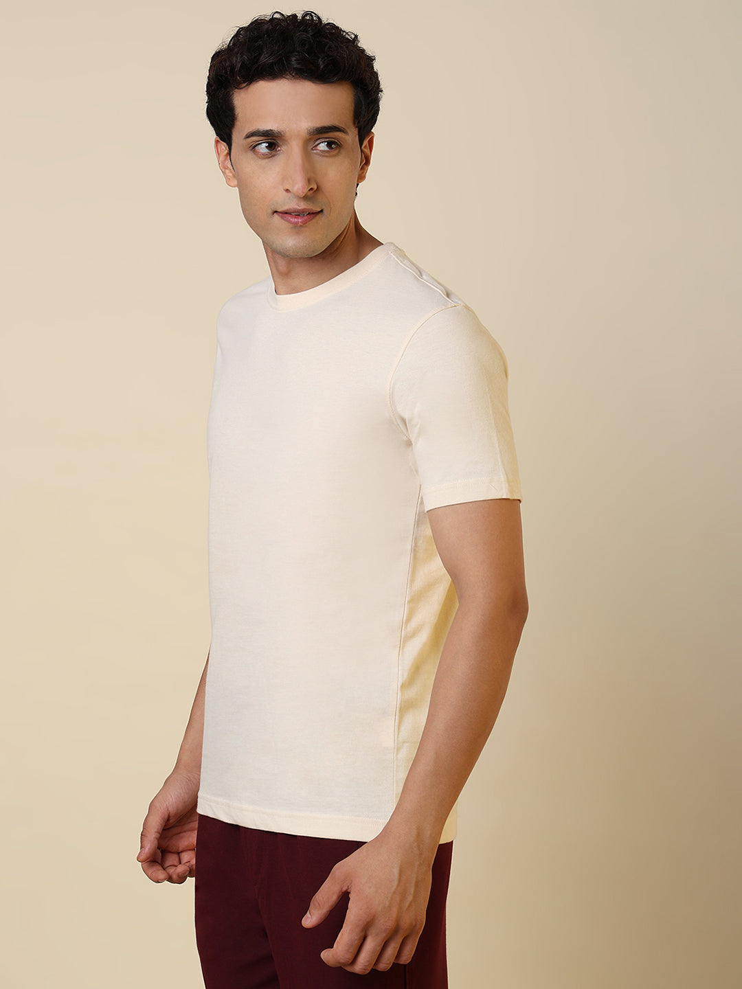 Sleepz Men Brown Solid Regular Fit Cotton T-Shirt