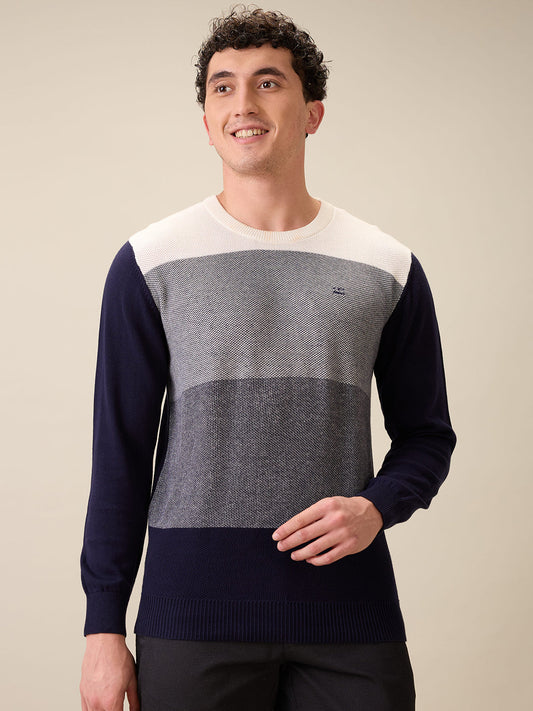 Colorplus Men Blue Jacquard Regular Fit Cotton Full Sleeve Round Neck Collar Sweater