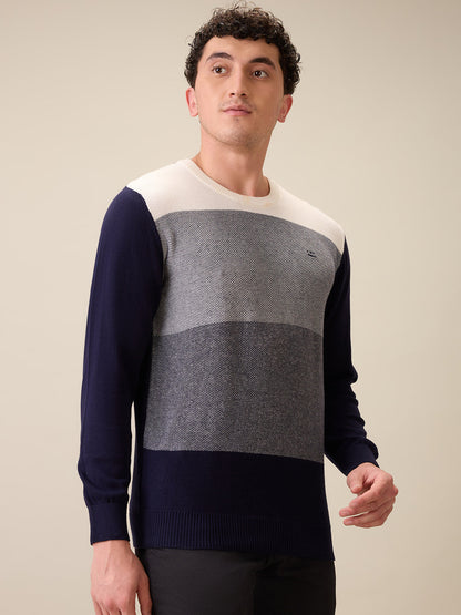 Colorplus Men Blue Jacquard Regular Fit Cotton Full Sleeve Round Neck Collar Sweater