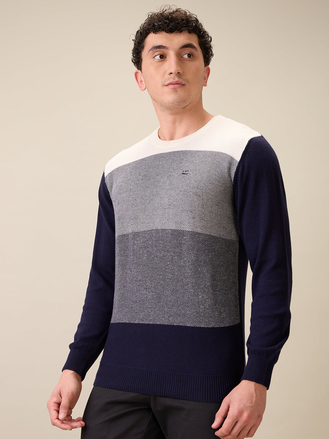 Colorplus Men Blue Jacquard Regular Fit Cotton Full Sleeve Round Neck Collar Sweater