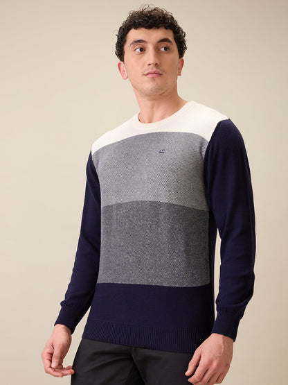 Colorplus Men Blue Jacquard Regular Fit Cotton Full Sleeve Round Neck Collar Sweater