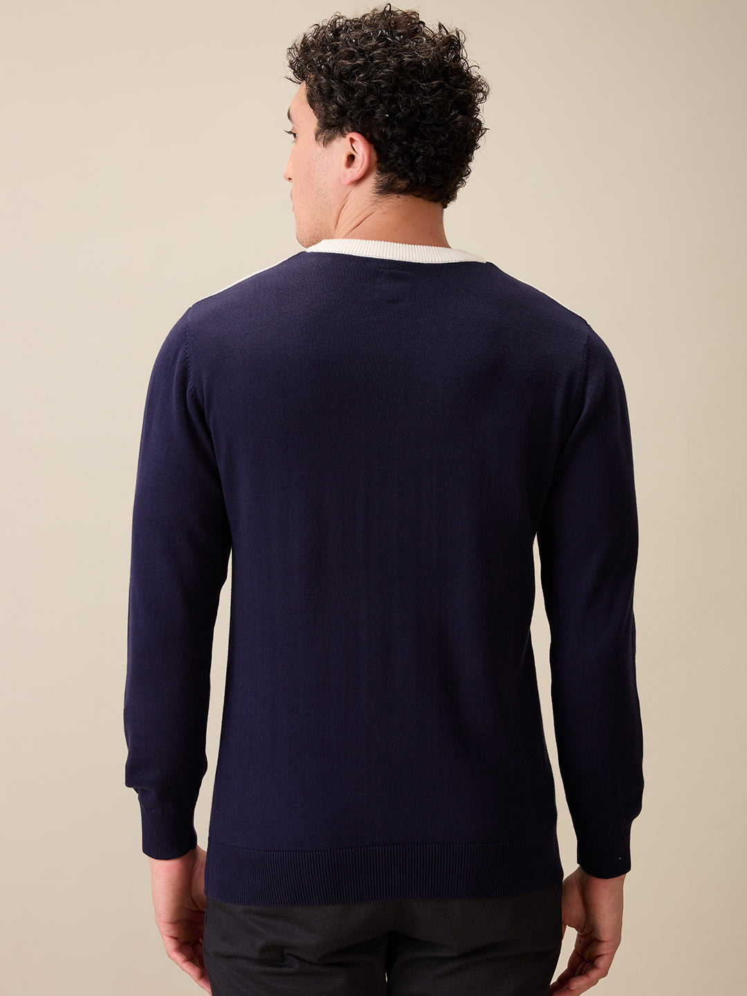 Colorplus Men Blue Jacquard Regular Fit Cotton Full Sleeve Round Neck Collar Sweater