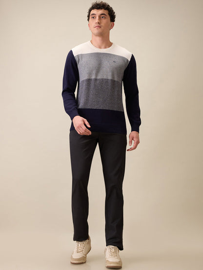Colorplus Men Blue Jacquard Regular Fit Cotton Full Sleeve Round Neck Collar Sweater