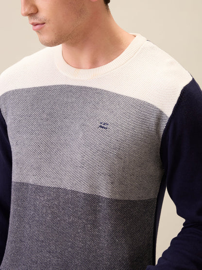 Colorplus Men Blue Jacquard Regular Fit Cotton Full Sleeve Round Neck Collar Sweater