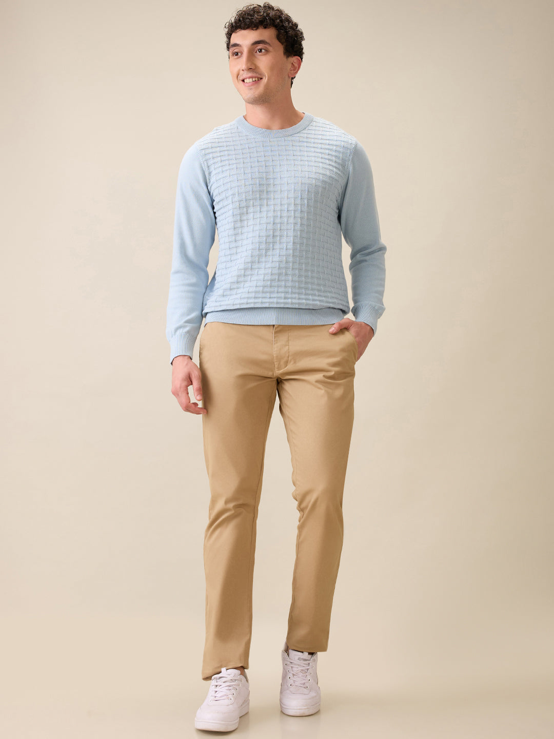 Colorplus Men Blue Jacquard Regular Fit Cotton Full Sleeve Round Neck Collar Sweater