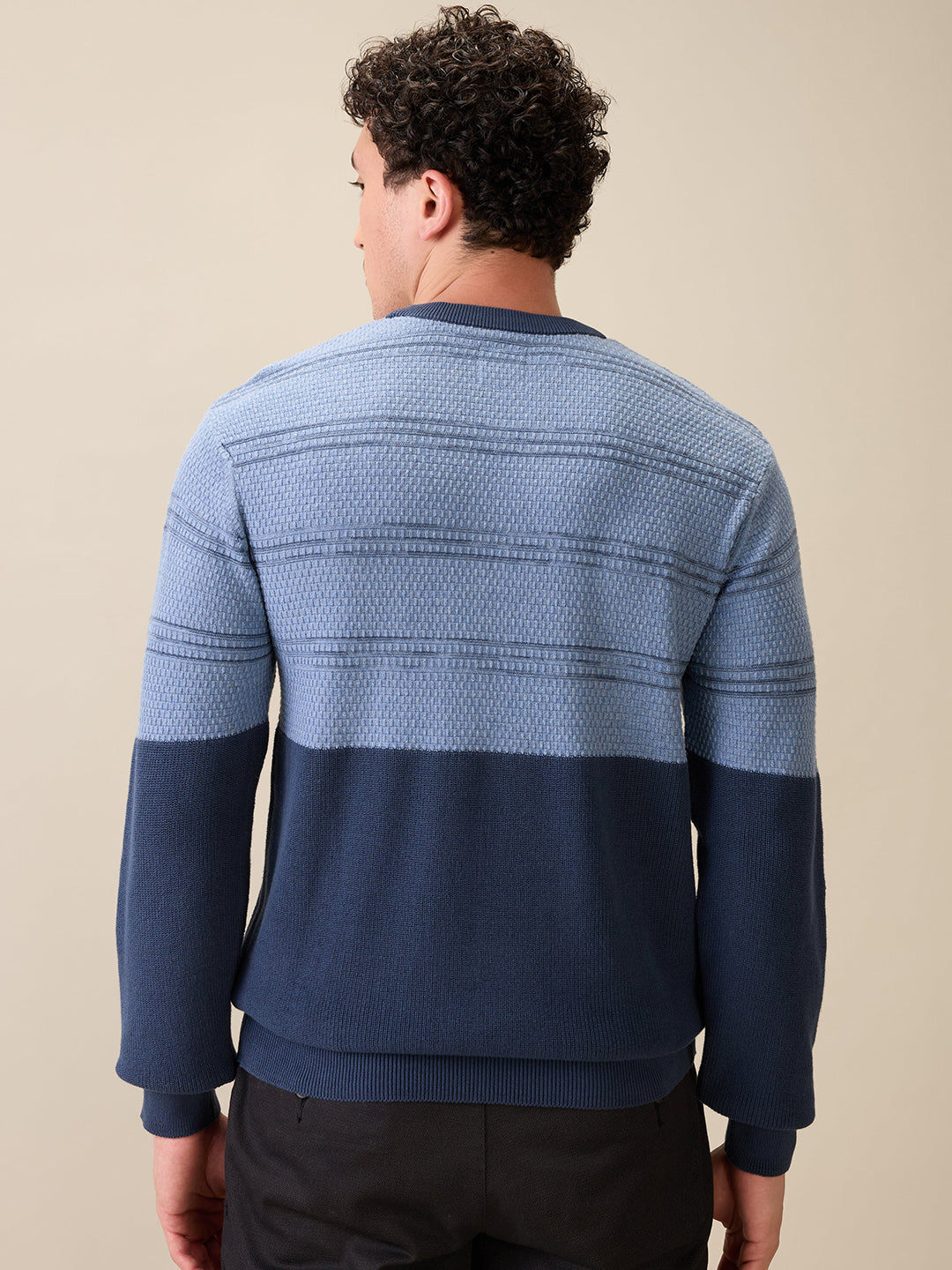 Colorplus Men Grey Jacquard Regular Fit Cotton Full Sleeve Round Neck Collar Sweater