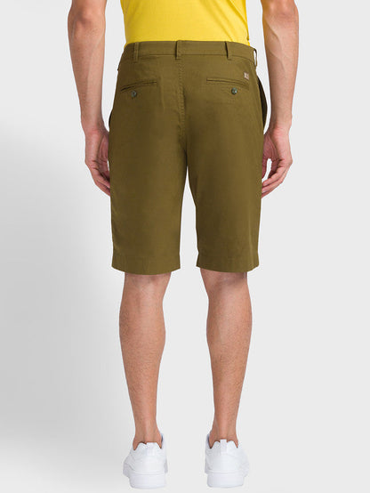 Colorplus Men Green Solid Contemporary Fit Shorts