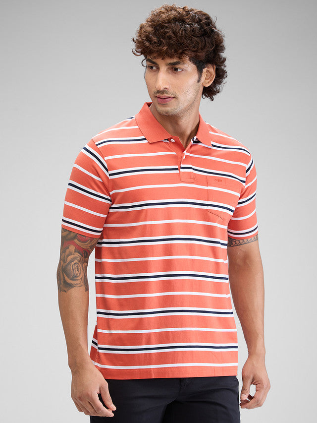 Colorplus Orange Stripe Classic Fit Cotton T-Shirt