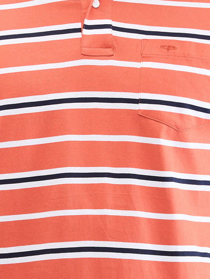 Colorplus Orange Stripe Classic Fit Cotton T-Shirt
