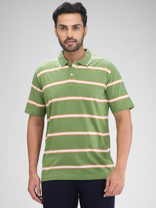 Colorplus Green Stripe Comfort Fit Half Sleeve Cotton T-Shirt