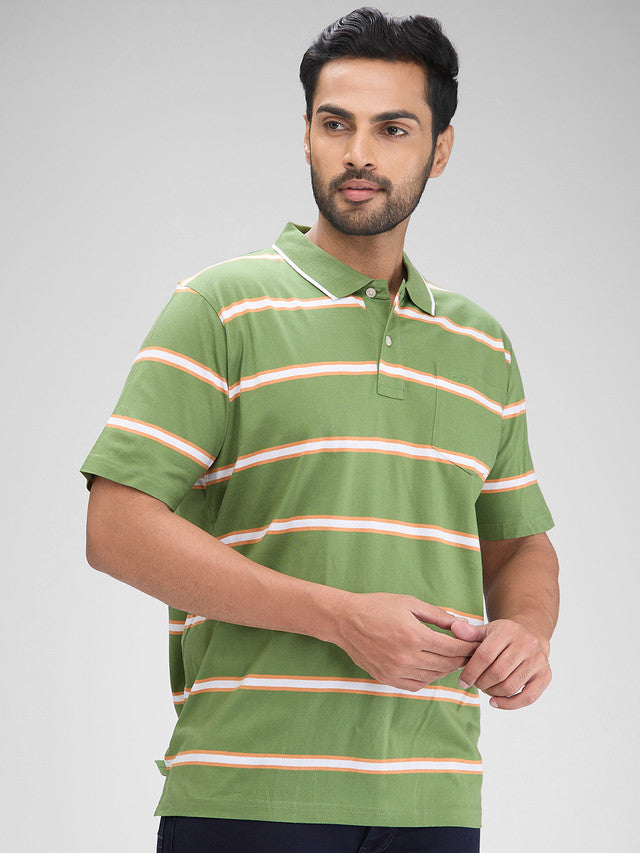 Colorplus Green Stripe Comfort Fit Half Sleeve Cotton T-Shirt