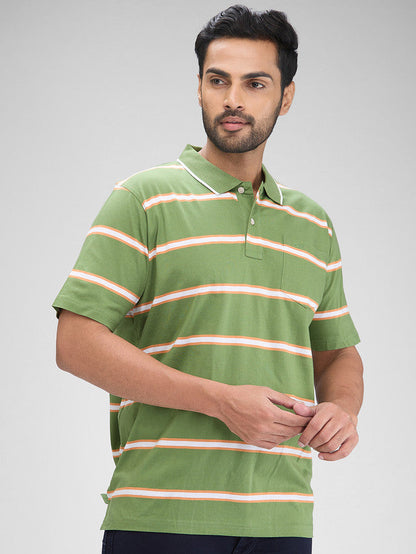 Colorplus Green Stripe Comfort Fit Half Sleeve Cotton T-Shirt