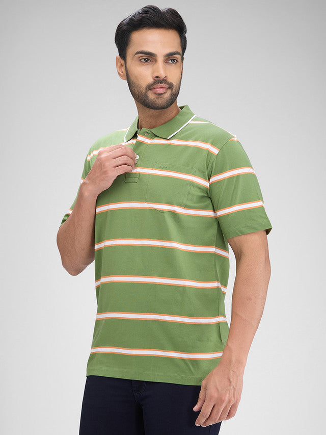 Colorplus Green Stripe Comfort Fit Half Sleeve Cotton T-Shirt