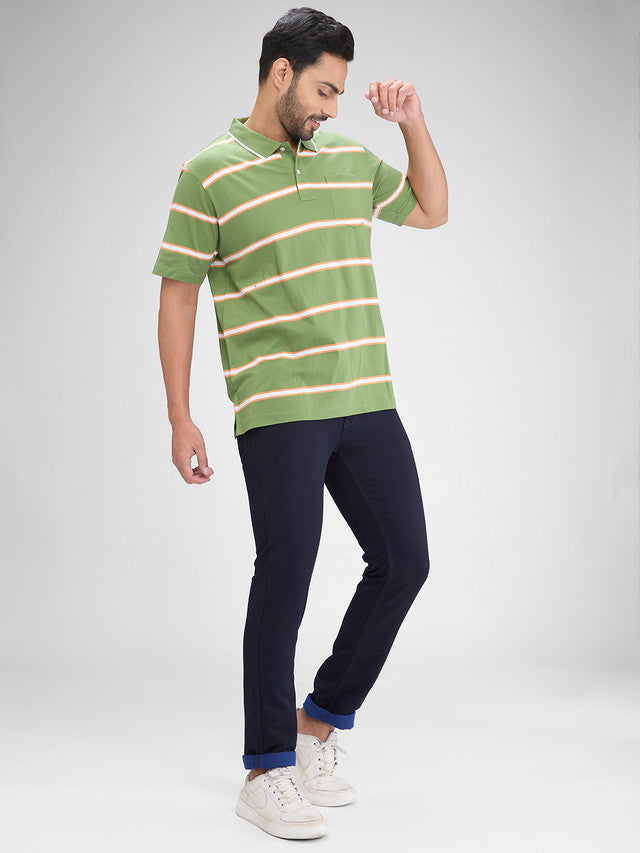 Colorplus Green Stripe Comfort Fit Half Sleeve Cotton T-Shirt