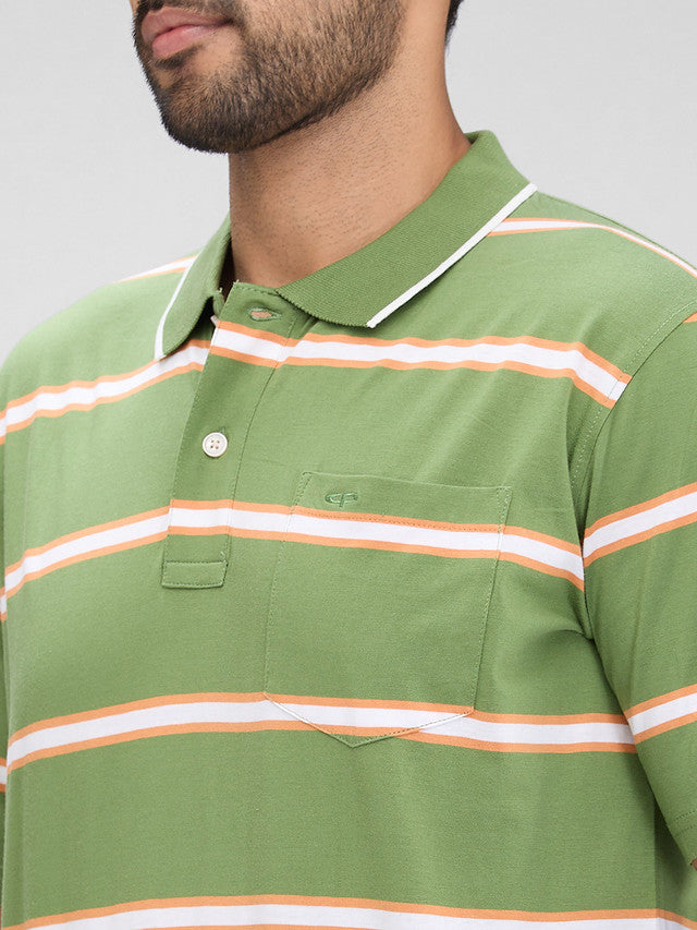 Colorplus Green Stripe Comfort Fit Half Sleeve Cotton T-Shirt