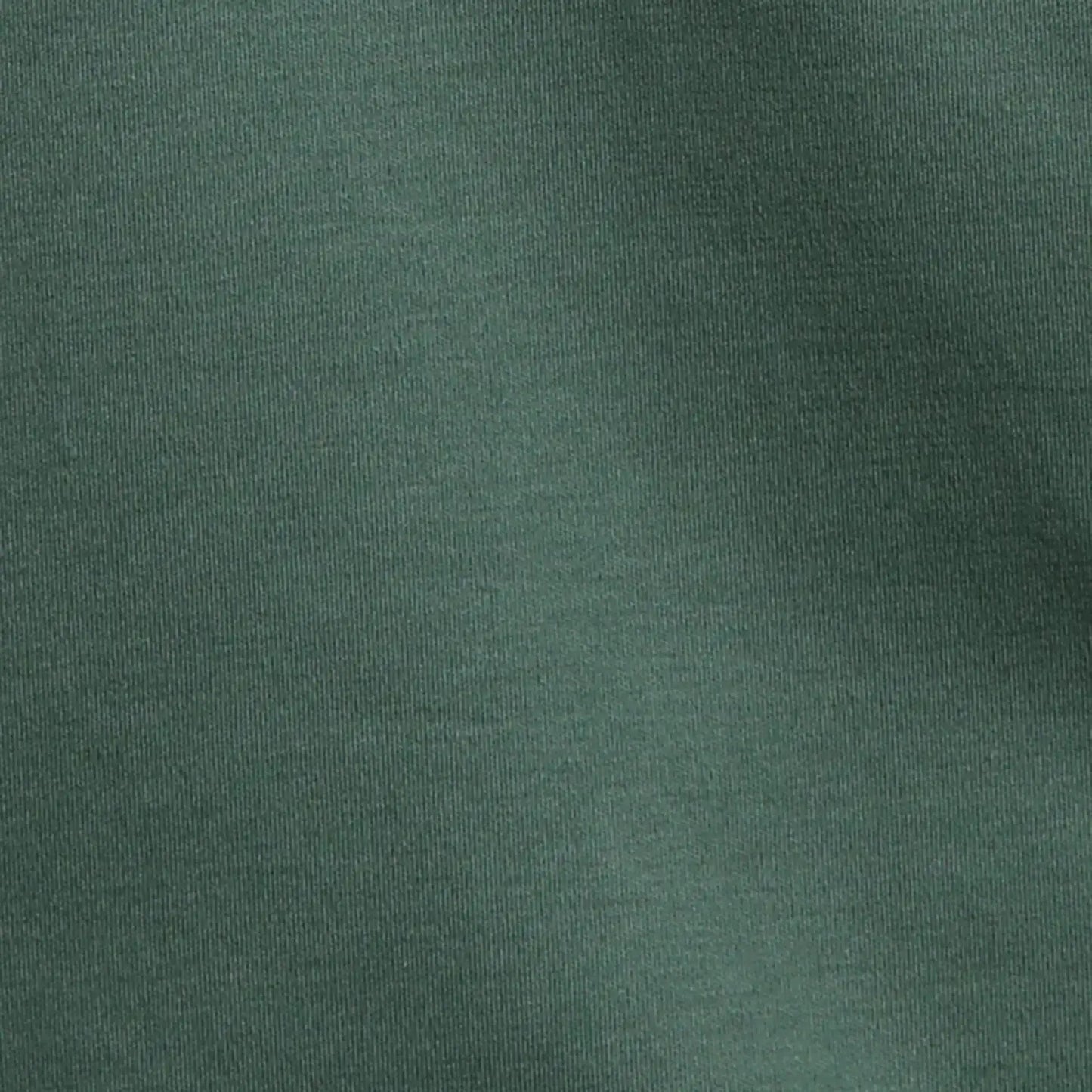 Colorplus Men Green Regular Fit Solid Cotton T-Shirt