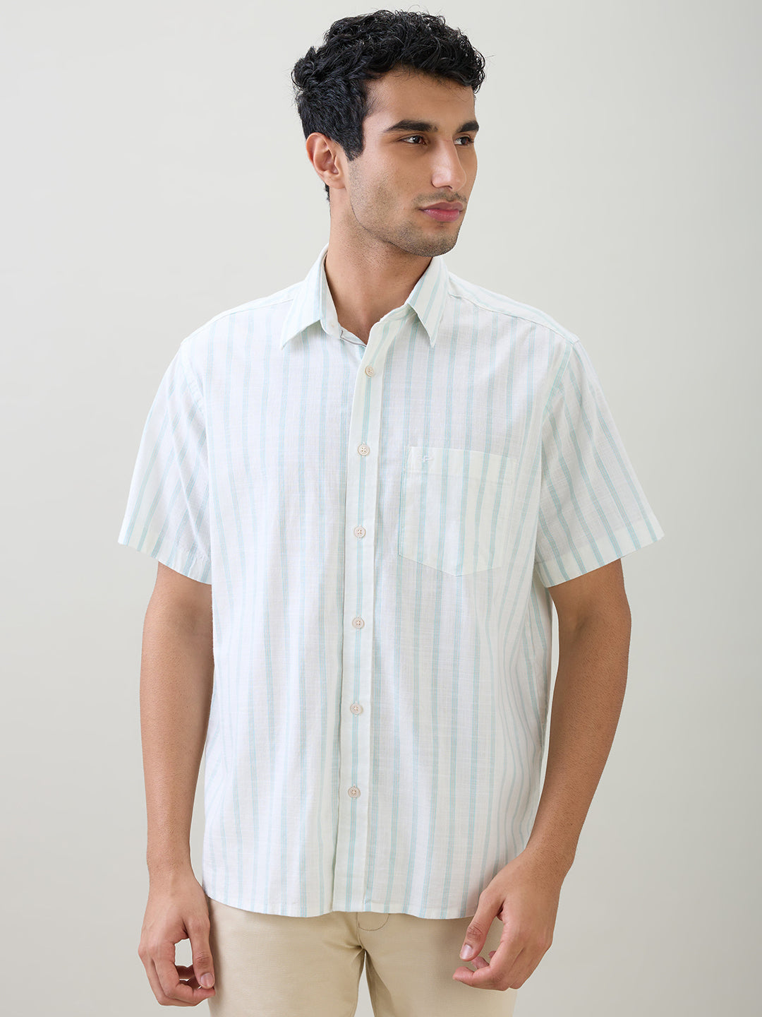 Colorplus Men Brown Stripe Comfort Fit Cotton Half Sleeve Casual Shirt