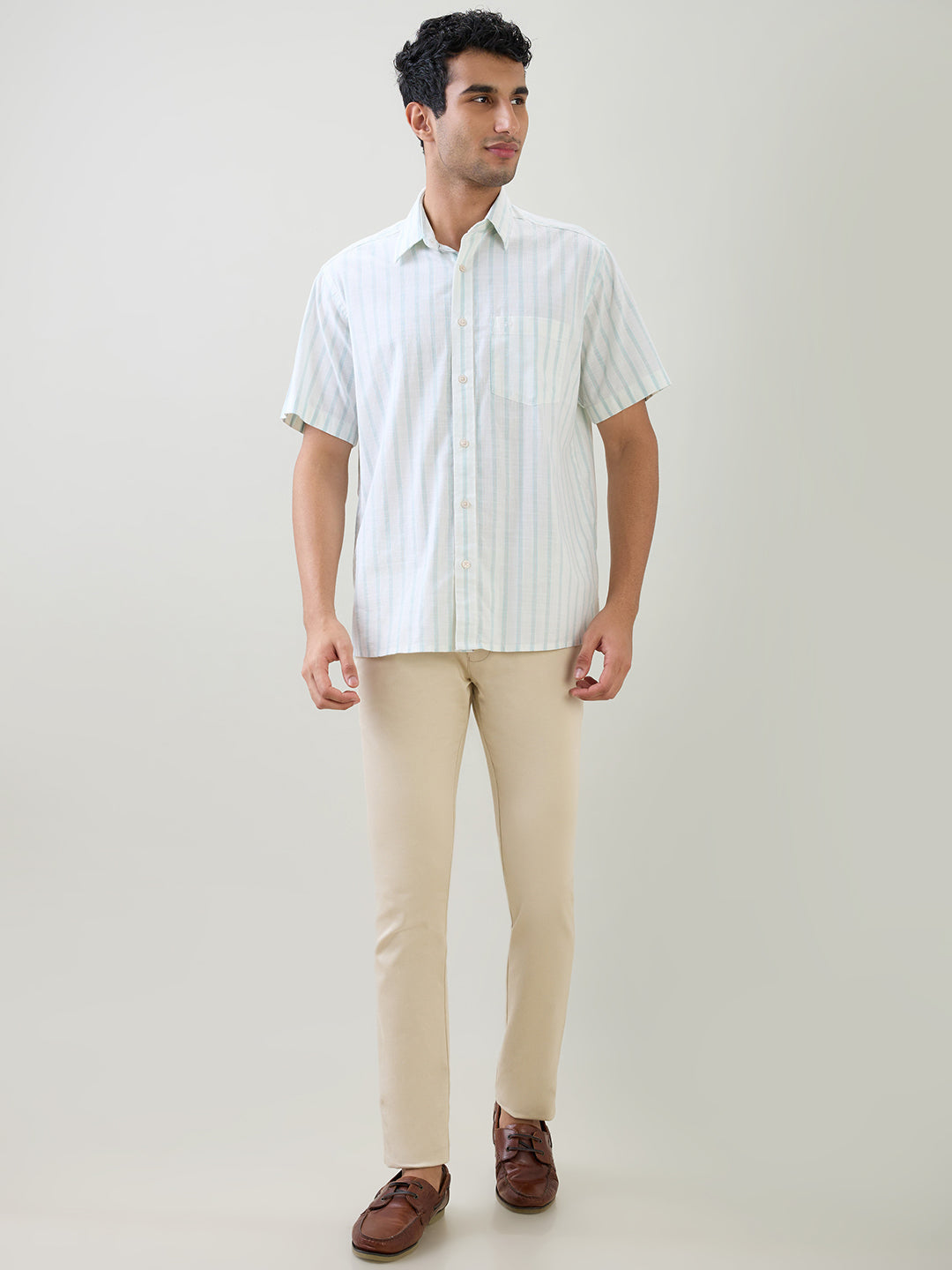 Colorplus Men Brown Stripe Comfort Fit Cotton Half Sleeve Casual Shirt