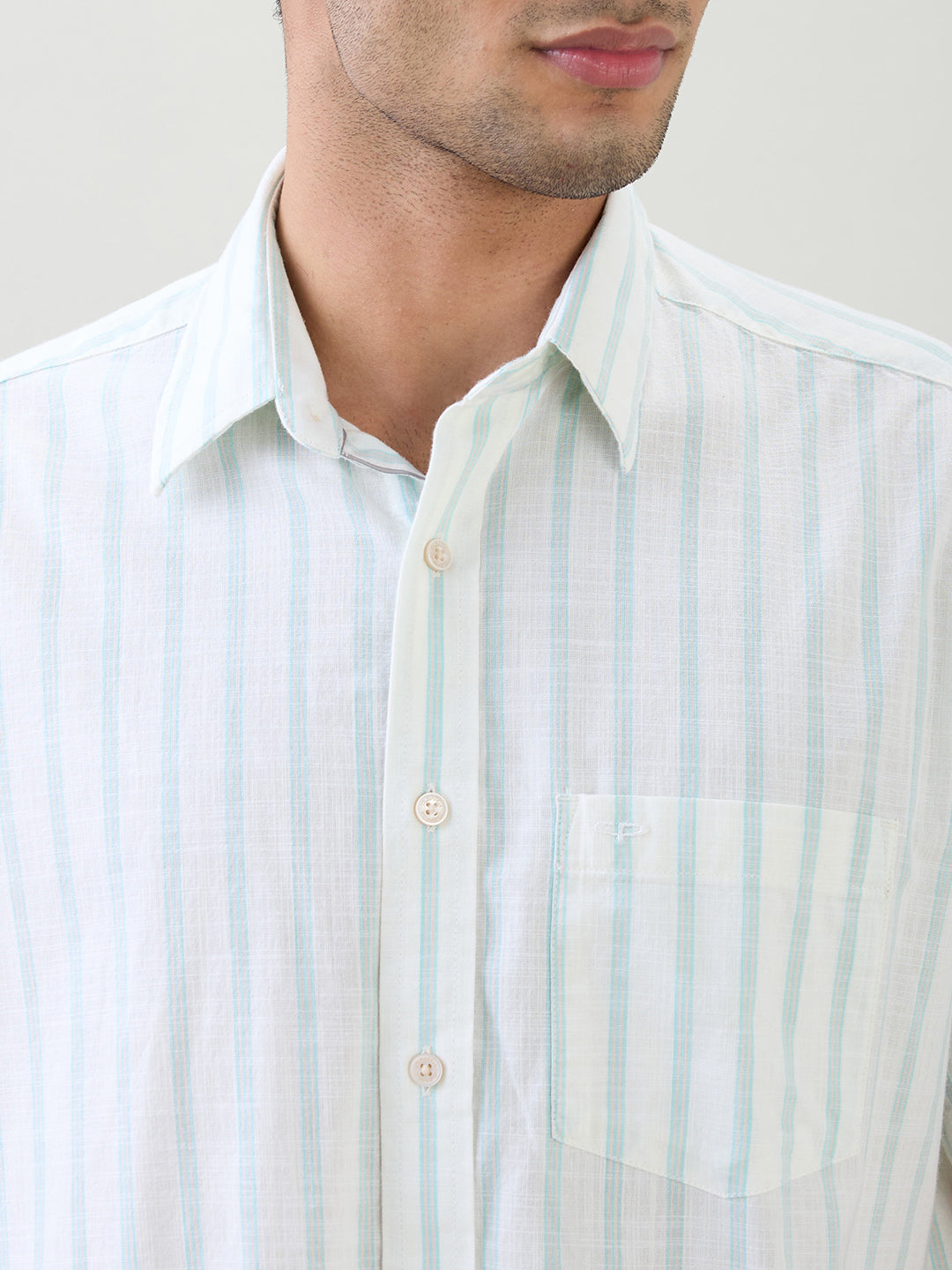 Colorplus Men Brown Stripe Comfort Fit Cotton Half Sleeve Casual Shirt