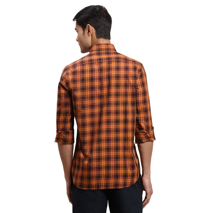 Men Brown Regular Fit Checks Cotton Full Sleeves Shirts