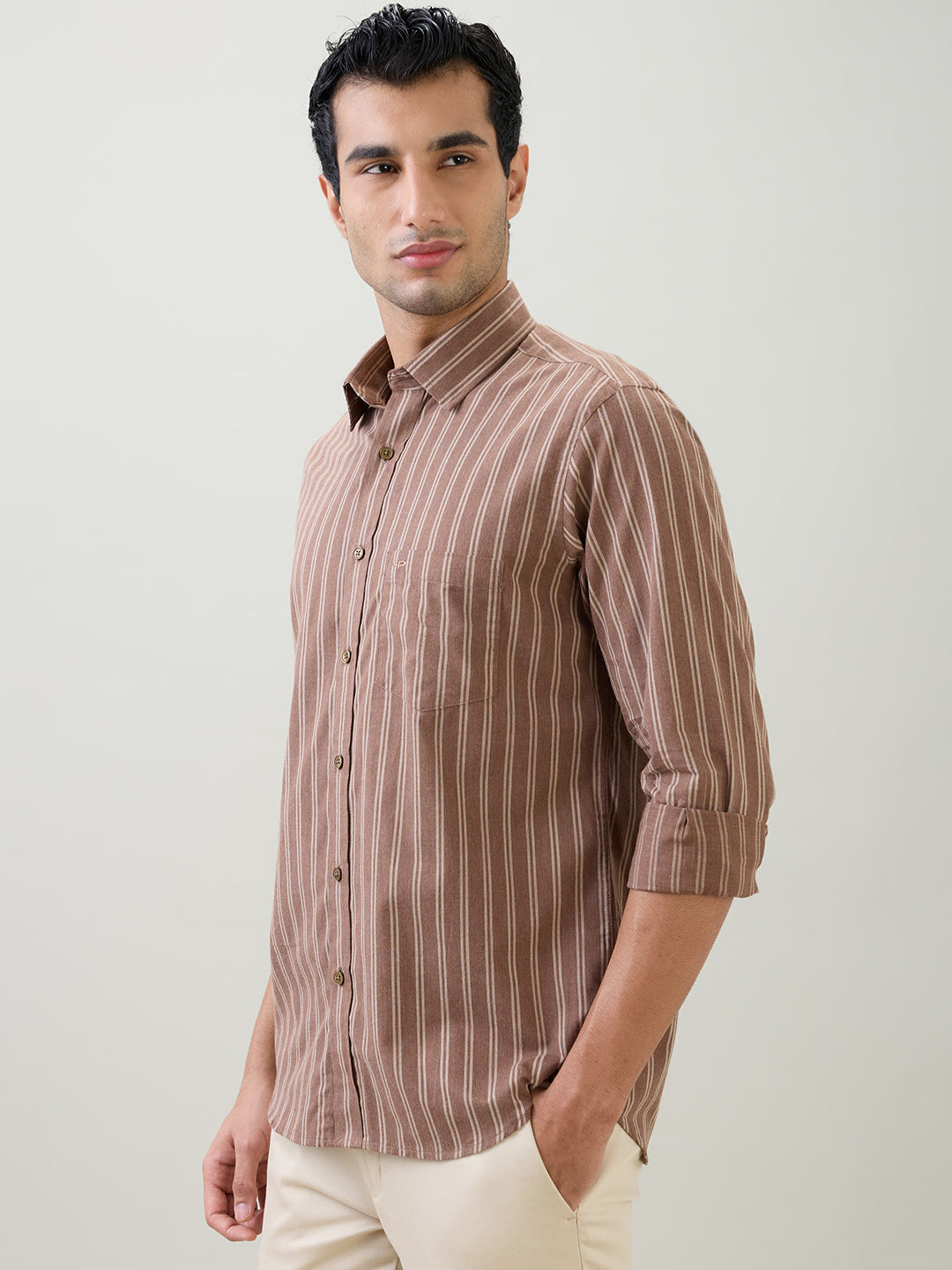 Colorplus Men Brown Stripe Regular Fit Cotton Full Sleeve Casual Shirt