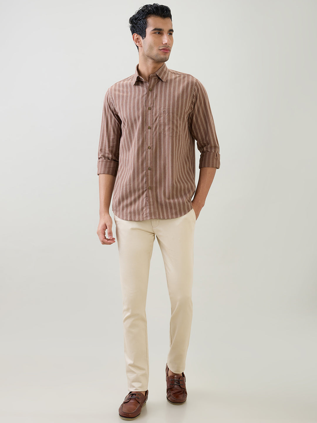 Colorplus Men Brown Stripe Regular Fit Cotton Full Sleeve Casual Shirt
