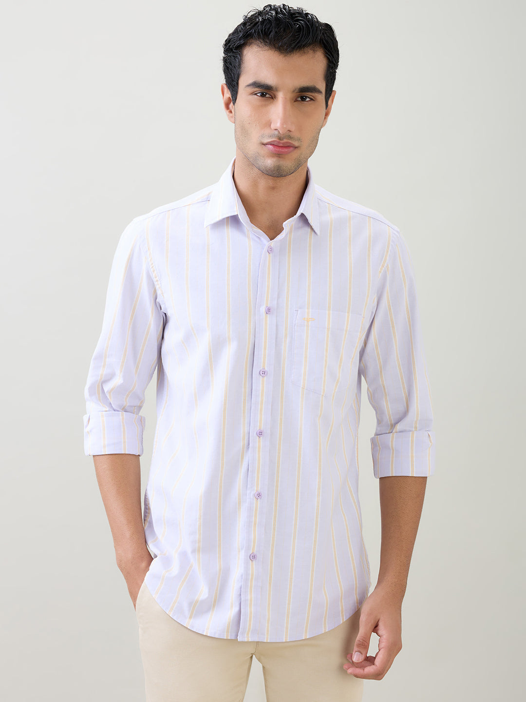 Colorplus Men Purple Stripe Regular Fit Cotton Blend Full Sleeve Casual Shirt