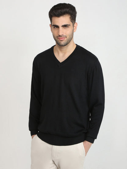 Colorplus Men Black Solid Regular Fit Wool Blend Full Sleeve V Neck Collar Sweater