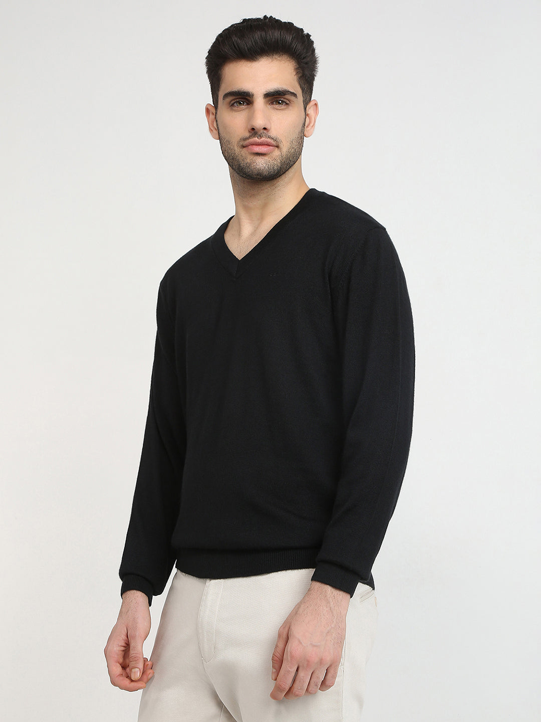 Colorplus Men Black Solid Regular Fit Wool Blend Full Sleeve V Neck Collar Sweater