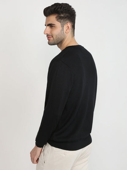 Colorplus Men Black Solid Regular Fit Wool Blend Full Sleeve V Neck Collar Sweater