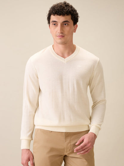 Colorplus Men White Solid Regular Fit Wool Blend Full Sleeve V Neck Collar Sweater