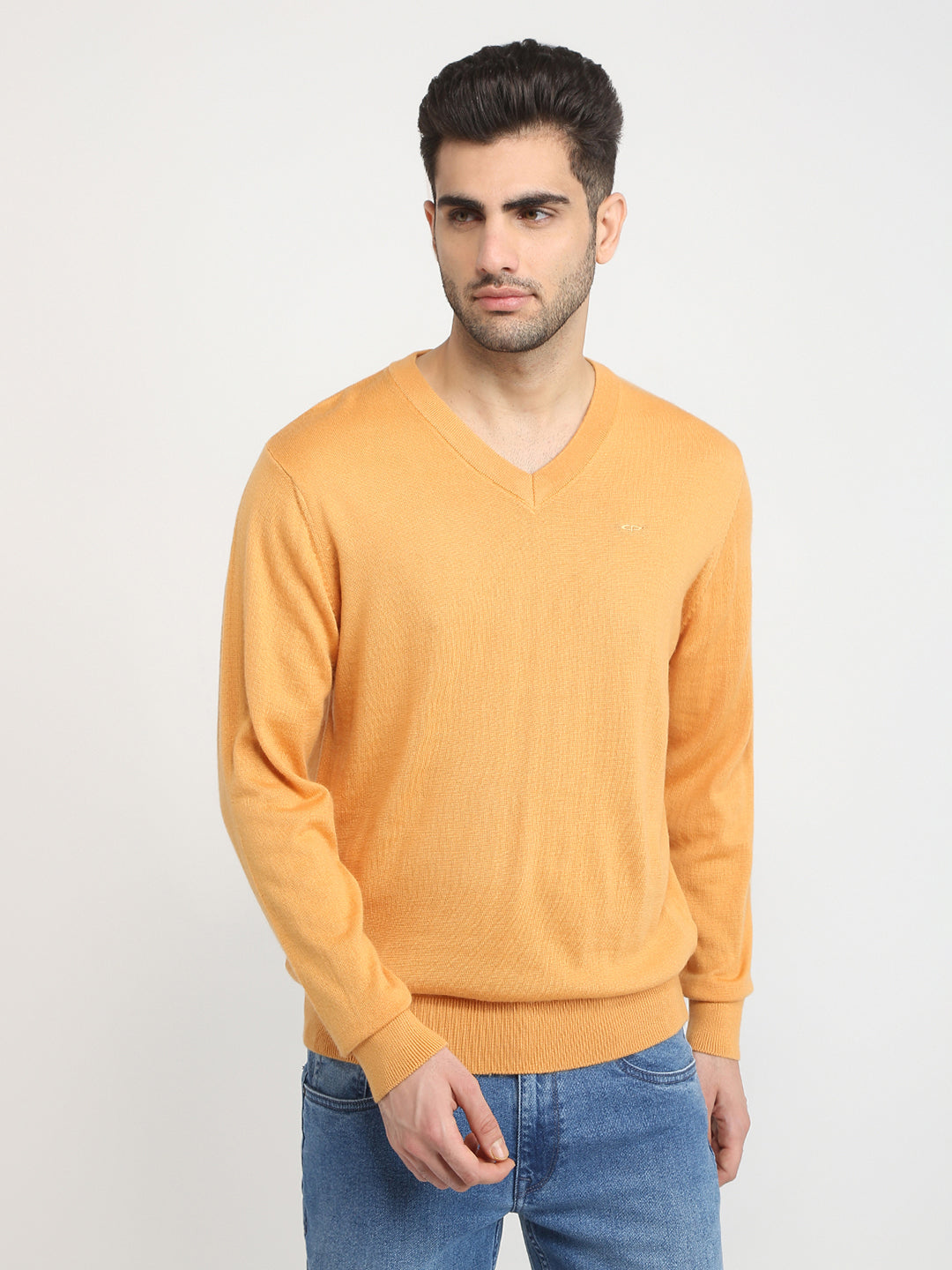 Colorplus Men Yellow Solid Regular Fit Wool Blend Full Sleeve V Neck Collar Sweater