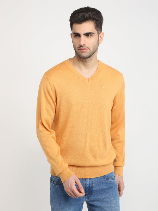 Colorplus Men Yellow Solid Regular Fit Wool Blend Full Sleeve V Neck Collar Sweater