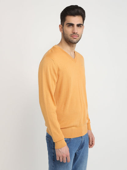 Colorplus Men Yellow Solid Regular Fit Wool Blend Full Sleeve V Neck Collar Sweater
