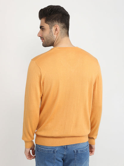 Colorplus Men Yellow Solid Regular Fit Wool Blend Full Sleeve V Neck Collar Sweater