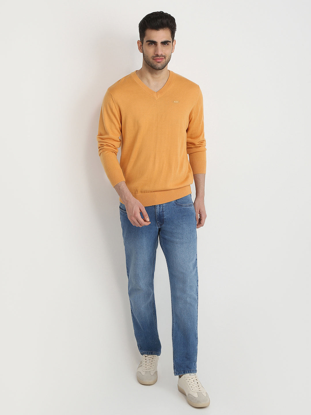 Colorplus Men Yellow Solid Regular Fit Wool Blend Full Sleeve V Neck Collar Sweater