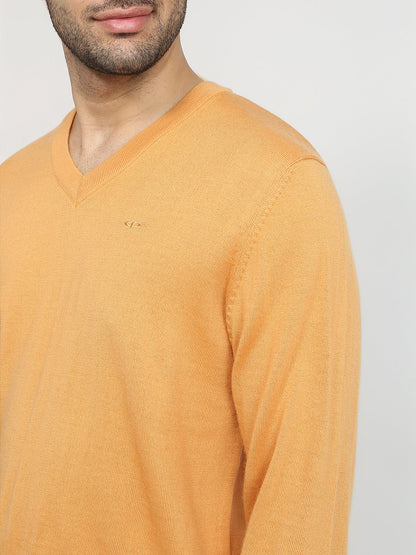 Colorplus Men Yellow Solid Regular Fit Wool Blend Full Sleeve V Neck Collar Sweater