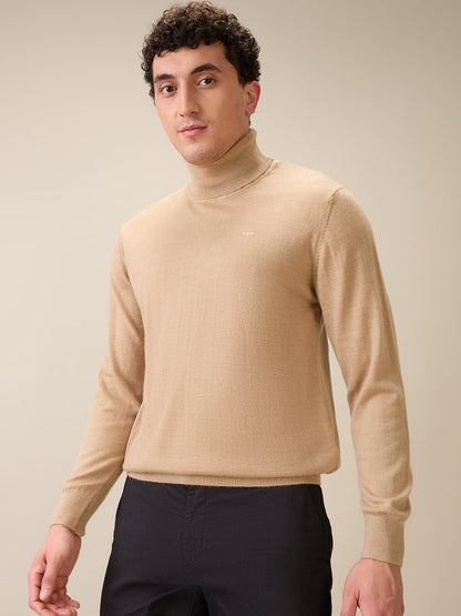 Colorplus Men Brown Solid Regular Fit Wool Blend Full Sleeve V Neck Collar Sweater